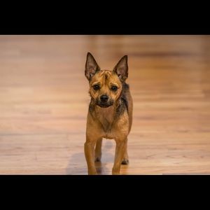 Meet your Posher, Renee